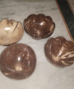 Coconut Shell Serving Bowl