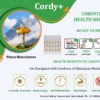 CORDY+ Health Shots – Himalayan Mushroom