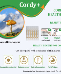 CORDY+ Health Shots – Himalayan Mushroom